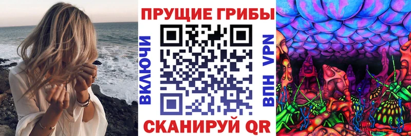 Галлюциногенные грибы Magic Shrooms  где продают наркотики  Белая Холуница 